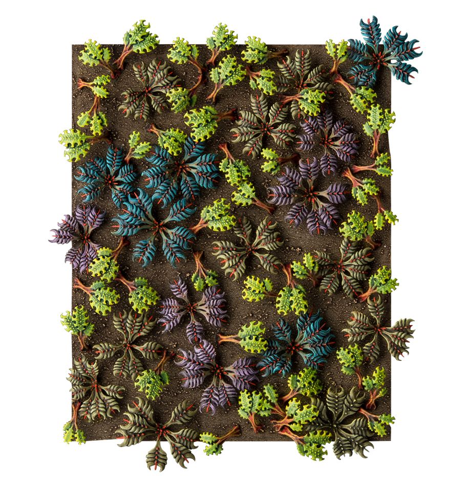 Citadel Barbed bracken