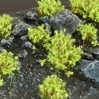 Green Shrub - Wild