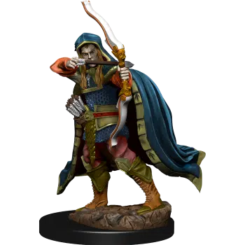 Male Elf Rogue - Premium D&D Figure