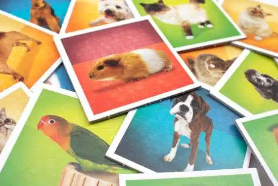 Memo Pets