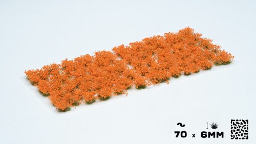Orange Flowers - Wild