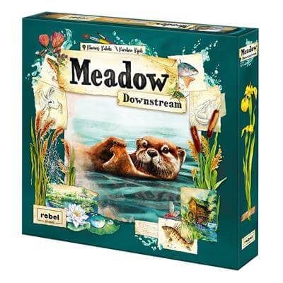 Downstream - Meadow Expansion