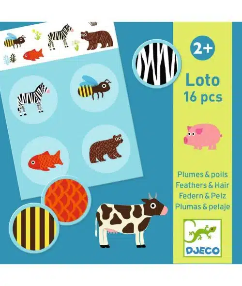 Veren en Haar - Lotto 16 stukken