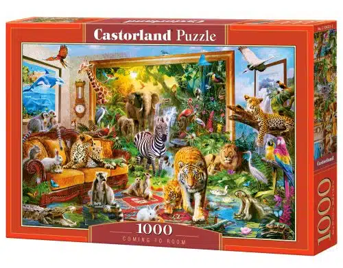 Coming to Room - 1000 stukken puzzel