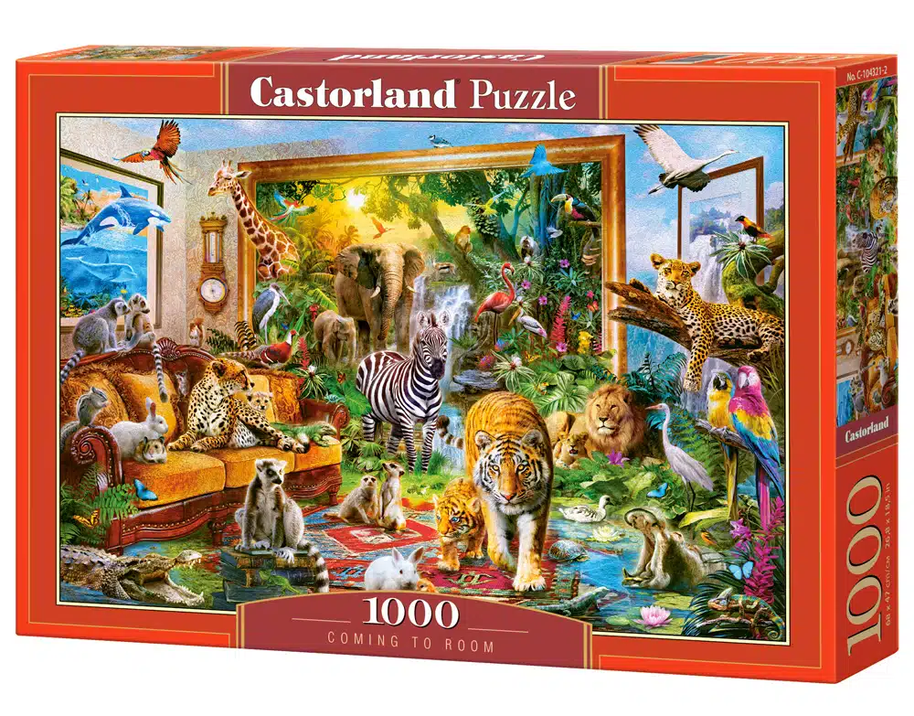 Coming to Room - 1000 stukken puzzel