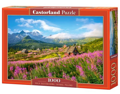 Hala Gasienicowa, Tatras, Poland - 1000 stukken puzzel