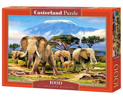 Kilimanjaro morning - 1000 stukken puzzel