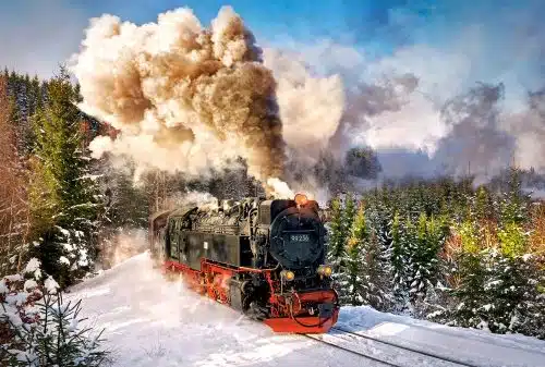 Steam train - 1000 stukken puzzel