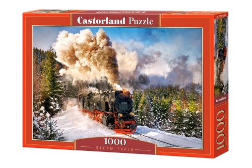 Steam train - 1000 stukken puzzel