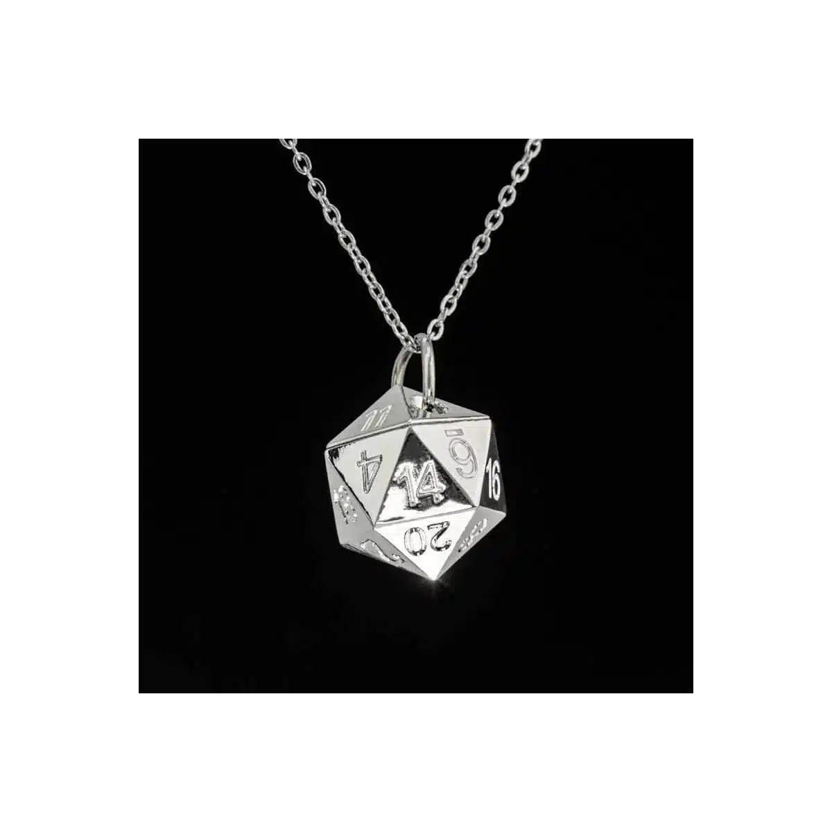 Silver - Metal D20 Necklace