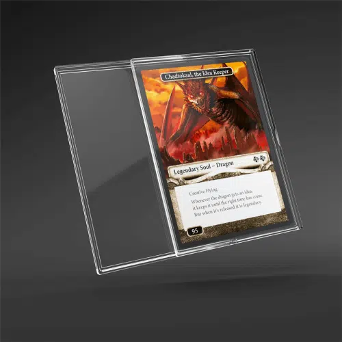 Slide Card Cases - 12 stuks