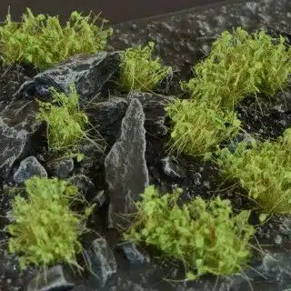 Dark Green Shrub - Wild