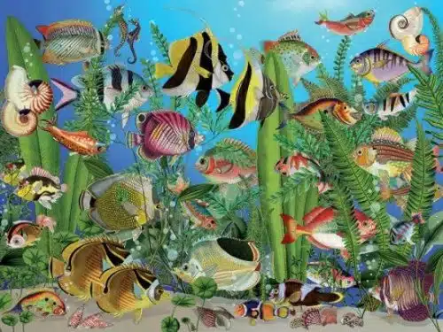 Aquarium (275 XXL)