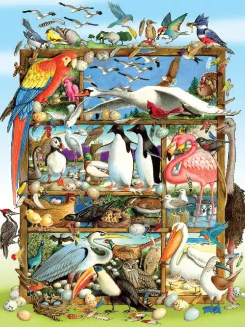 Birds of The World - Family Puzzle (400)