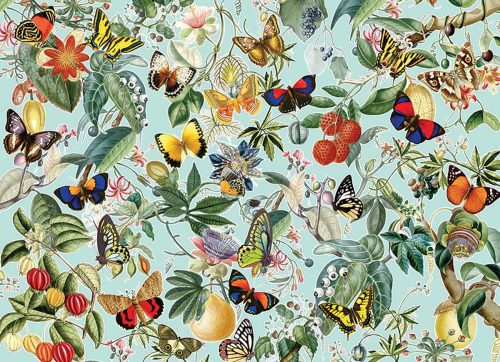 Fruit and Flutterbies - 1000 stukken puzzel