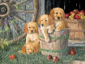 Puppy Pail - Family Puzzle (400)