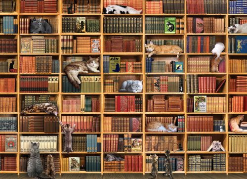 The Cat Library - 1000 stukken puzzel