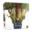 Redwood