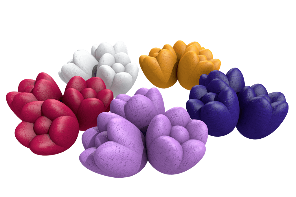 Tulpen - Windmill Valley