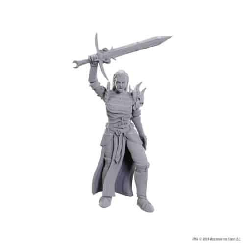 Blackguard - Unpainted D&D Miniatures