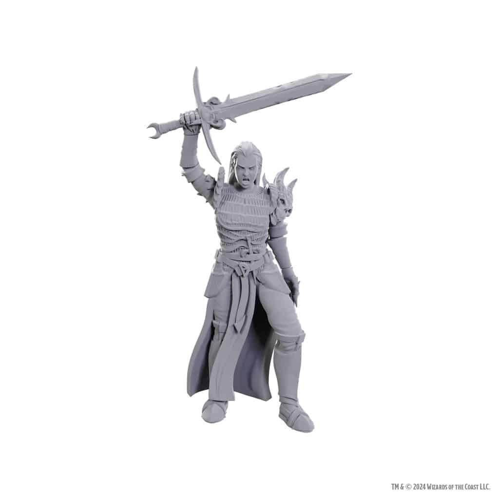 Blackguard - Unpainted D&D Miniatures
