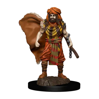 Male Human Druid - Premium D&D Figure