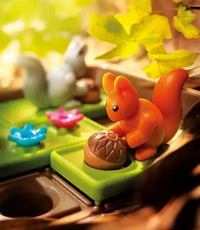 Squirrels go Nuts!