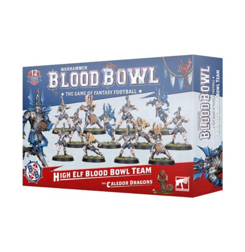 The Caledor Dragons - High Elf Blood Bowl Team