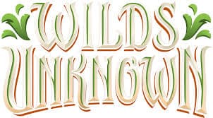 Lorcana - Wilds Unknown Sealed